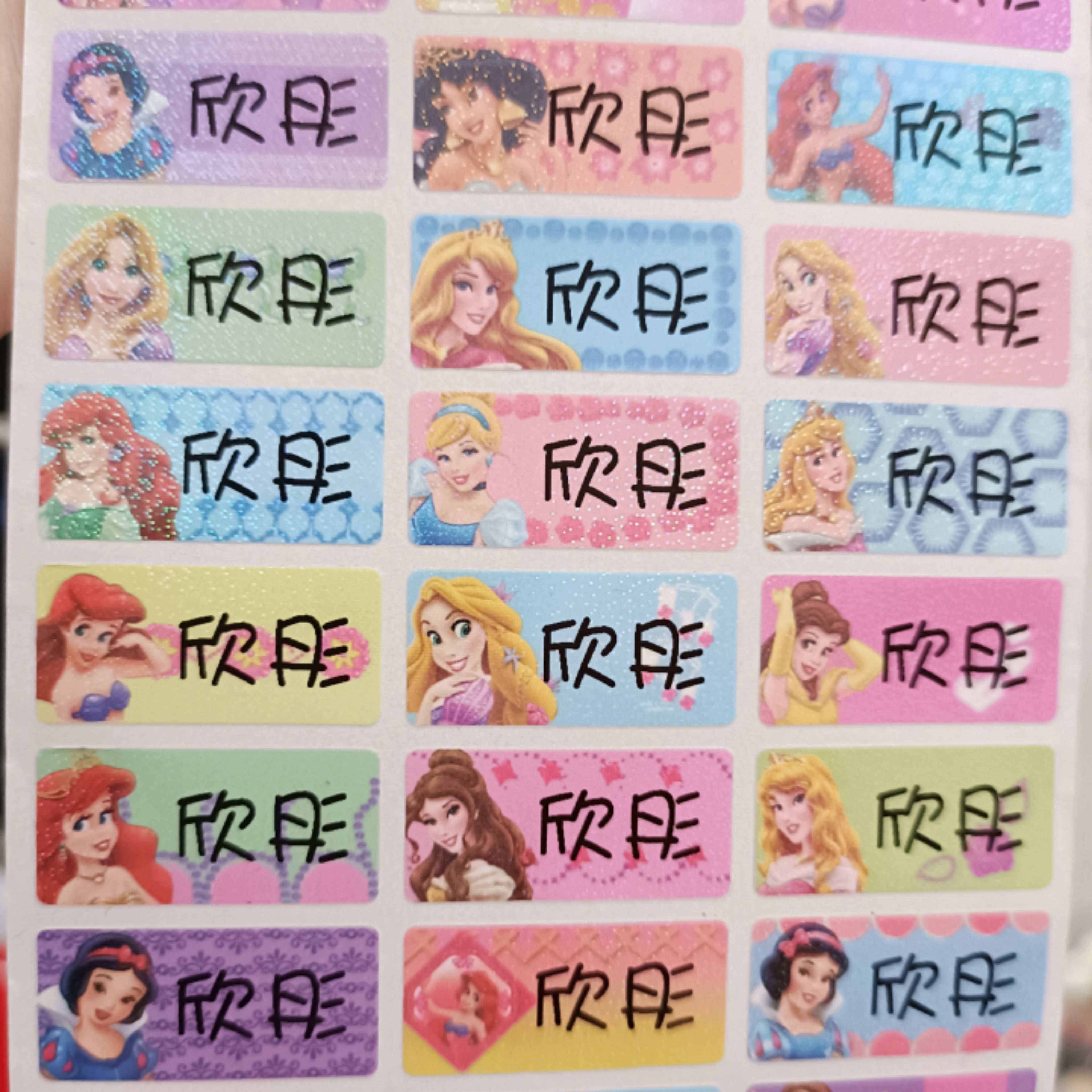 Shiny Princess Name Sticker | Shopee Philippines