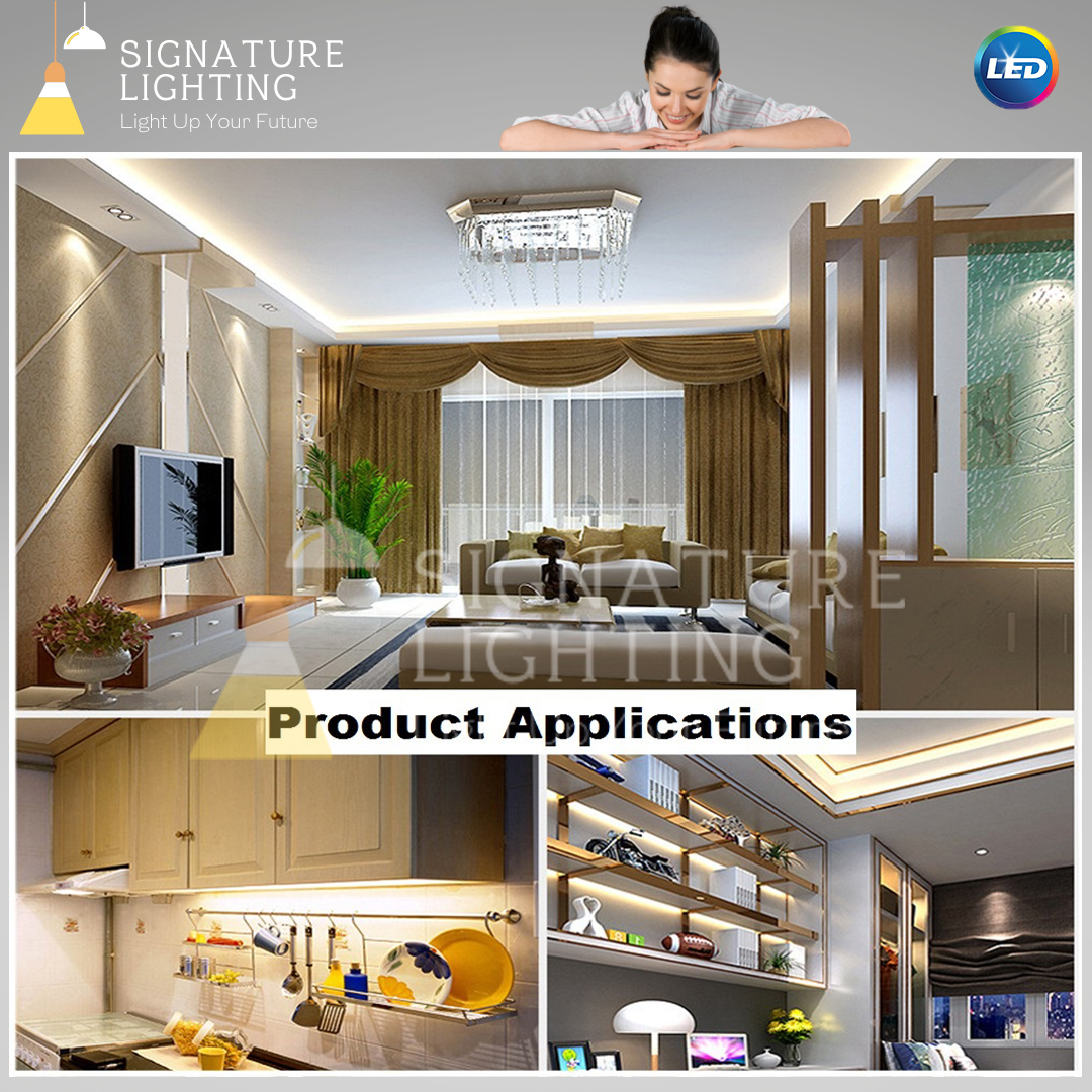 Led T5 Tube Light Color (RED / BLUE / GREEN ) & Daylight 6k , Cool