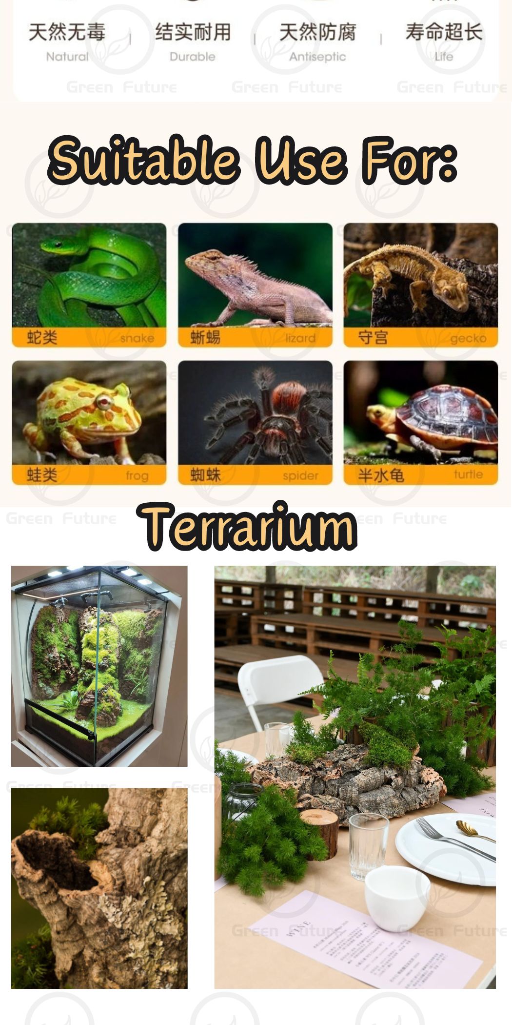 Corkbark CORK BARK Reptile Bark Bedding Cork Habitat Tree Bark Spider