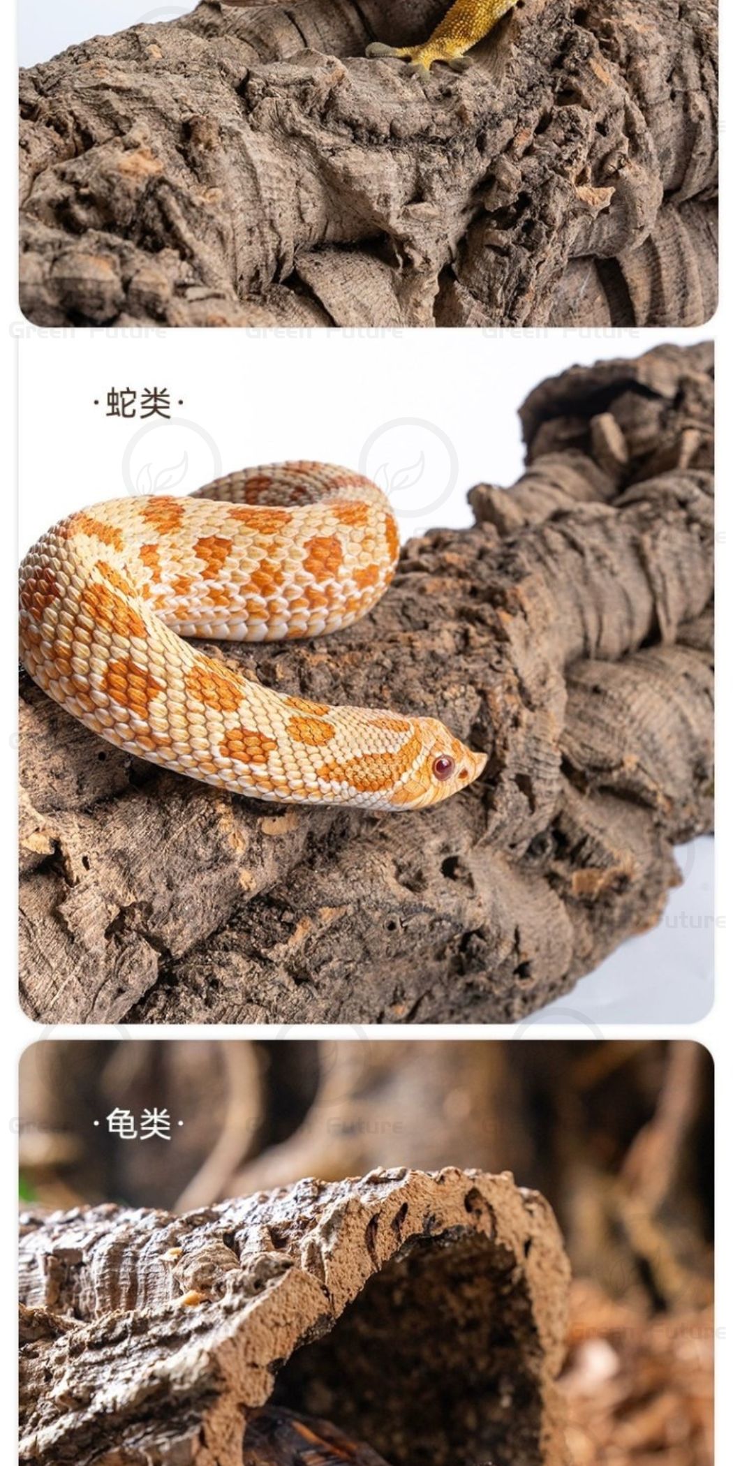 Corkbark CORK BARK Reptile Bark Bedding Cork Habitat Tree Bark Spider