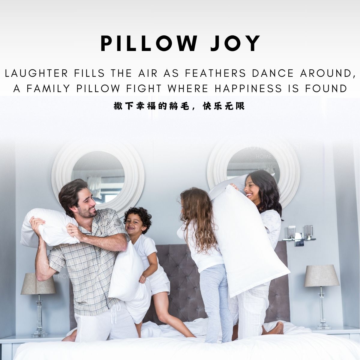 [APM ] SORA Luxury 5 Star Hotel Poland White Goose Feather Down Pillow