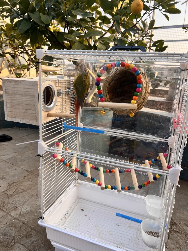 Illustration of Small But Luxury Bird Cages With Large Wheels