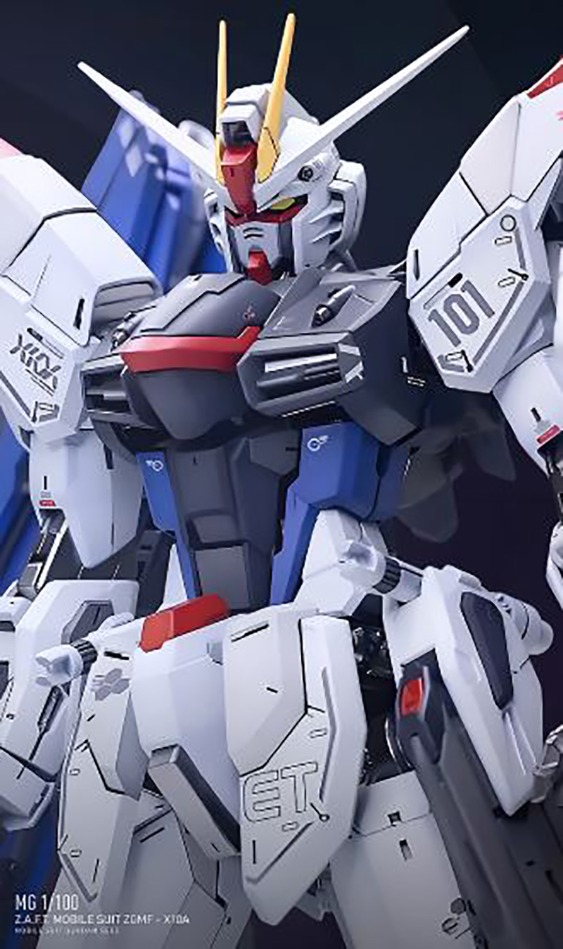 DL Model Water Slide Decal Sticker For MG 1/100 Freedom Gundam Ver 2.0 - ZGMF-X10A