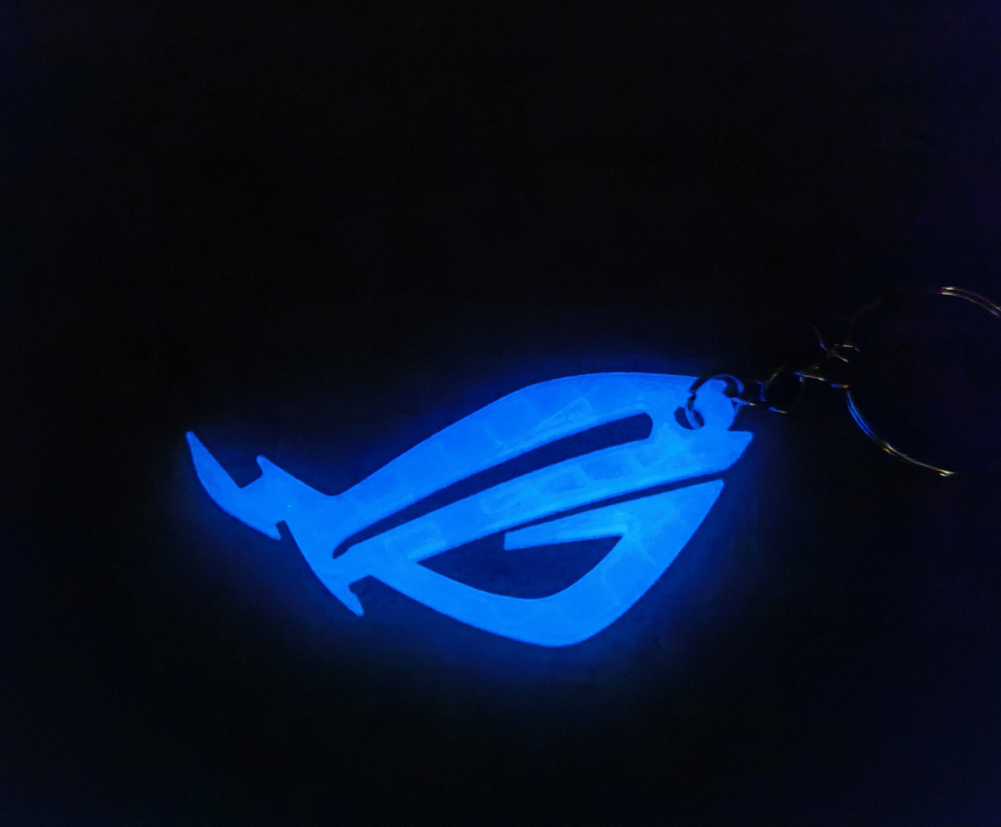 ROG Logo Keychain Glows in the Dark Republic of Gamers 3D Printed Bag ...