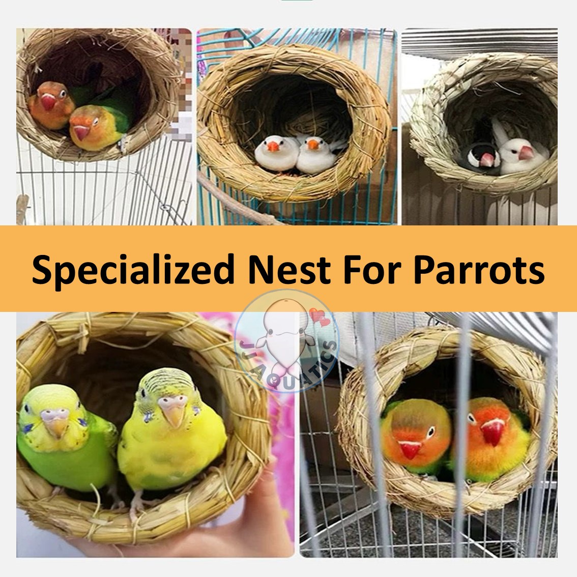 Ventilation For Parrot Cage Shaft photo