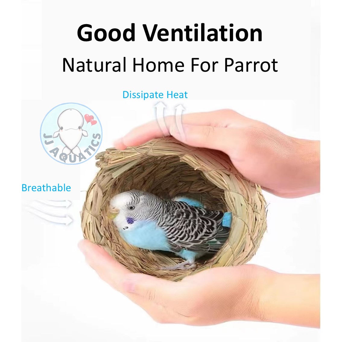 A closer look at Ventilation In Parrot Home Enclosures