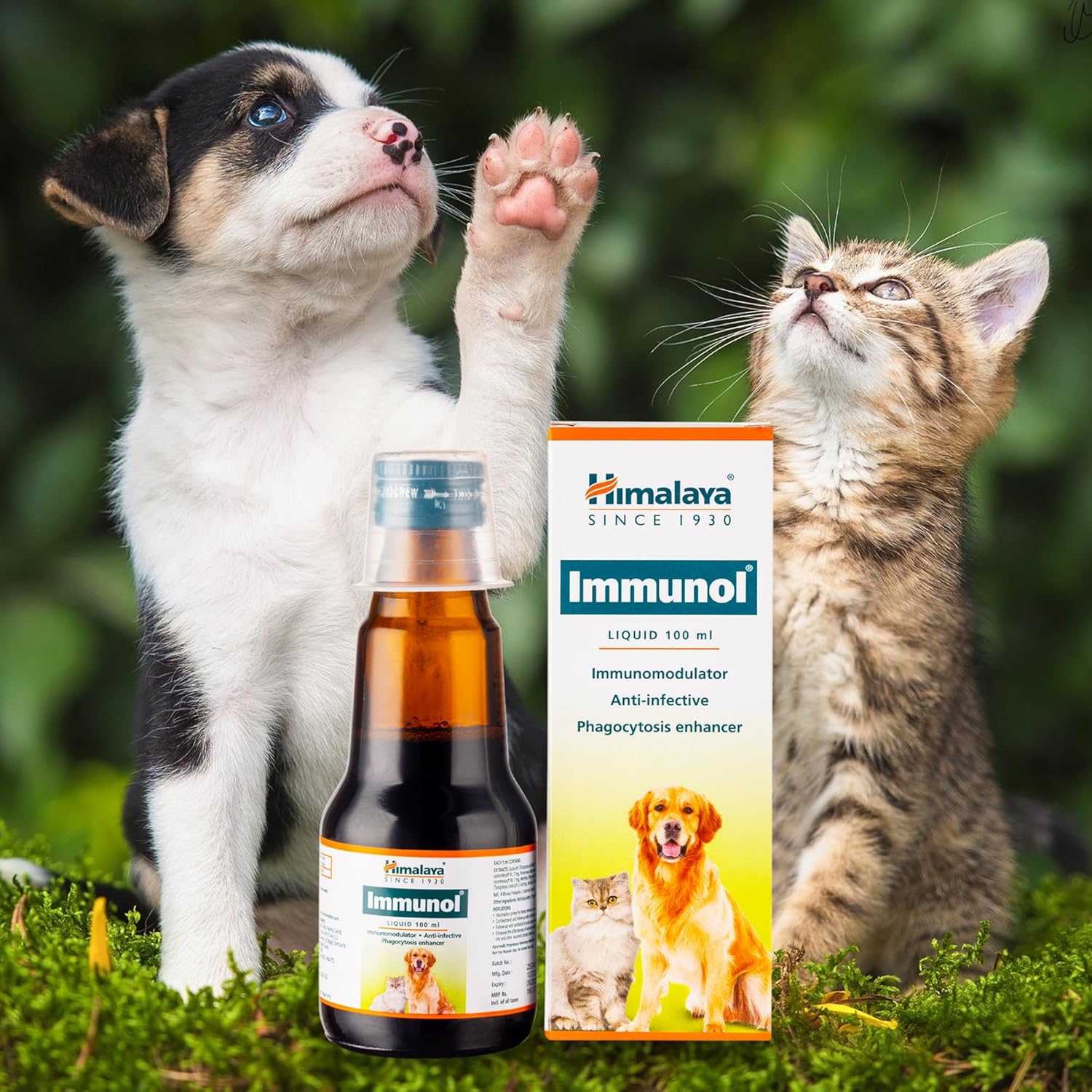 HIMALAYA VET Immunol Pet Liquid 100ml (Anti-infective, Phagocytosis ...