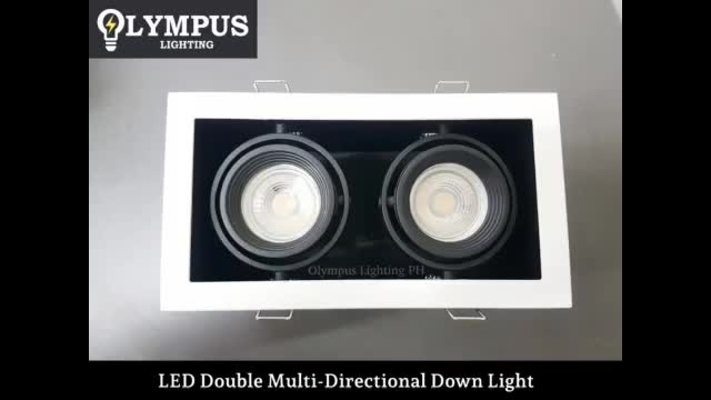 Olympus LED Double Multi-Directional Down Light Pinlight (Replaceable ...
