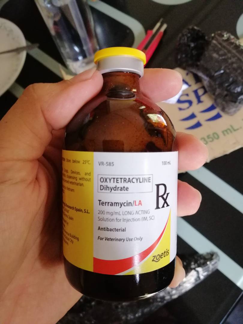 Terramycin 200 Mg