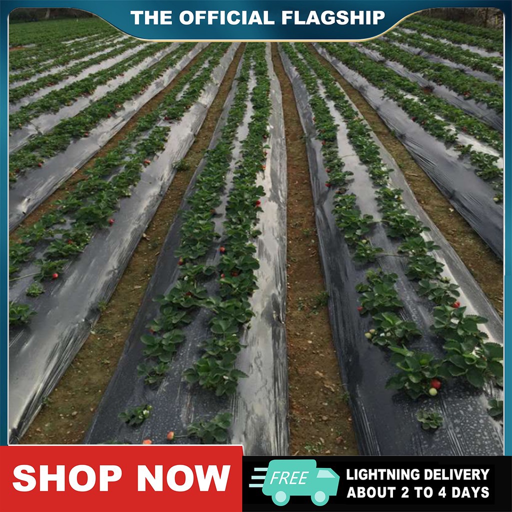 600M PLASTIC MULCH FILM (1 roll silver black) Shopee Philippines