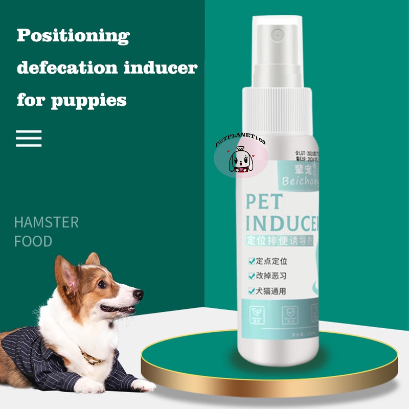 [PETPLANET]Dog Training Potty Spray Pet Puppy Defecation inducer Dog ...