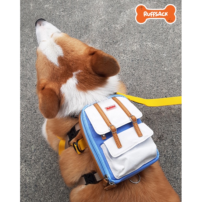 Dog backpack for medium sized clearance dogs