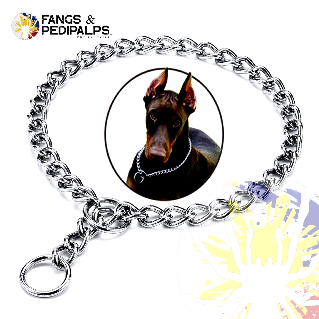 Dog Slip Chain Collar Training Choker Collar Shopee Philippines