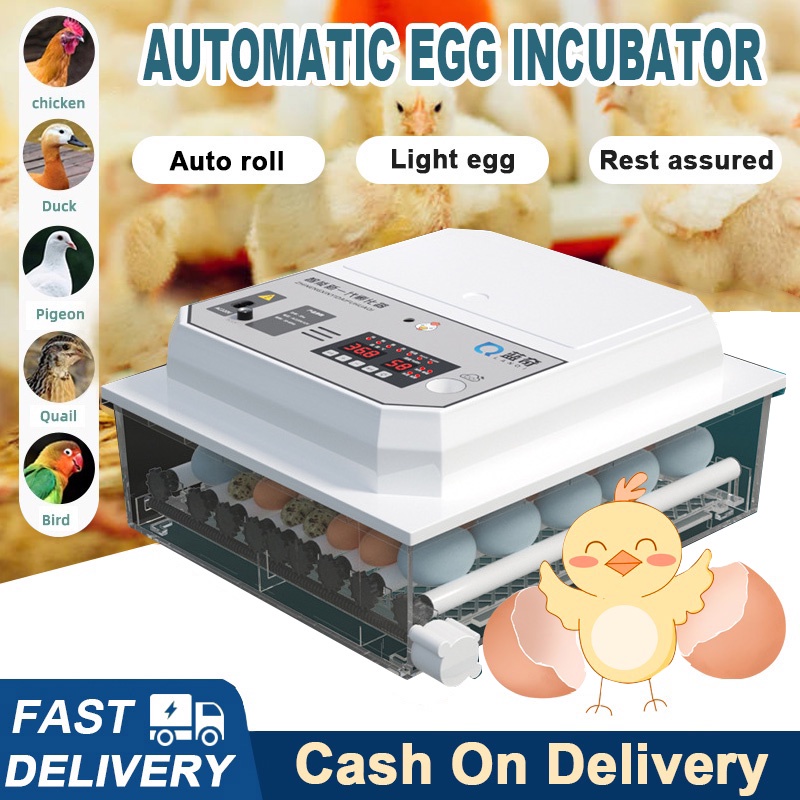 /Incubator For Egg/Fully Automatic Mini Egg Incubators/Digital Hatcher