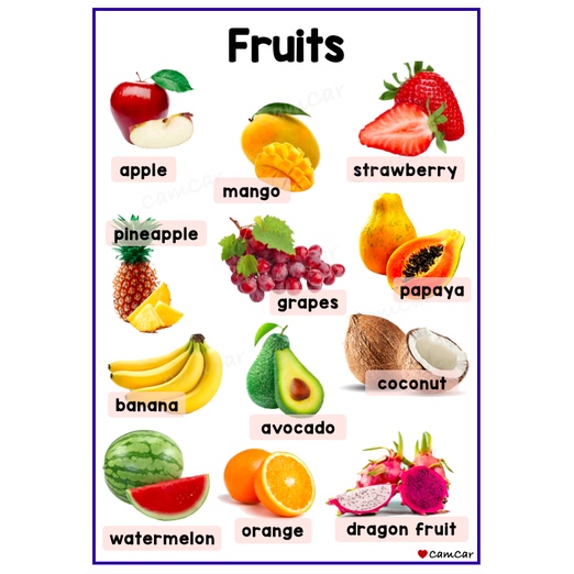 Fruits And Vegetables A4 Laminated Educational Wall Chart By Camcar 