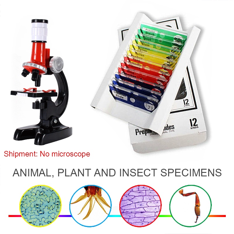 12pcs Microscope Prepared Slides Insects Plant Animal Plastic Specimens ...