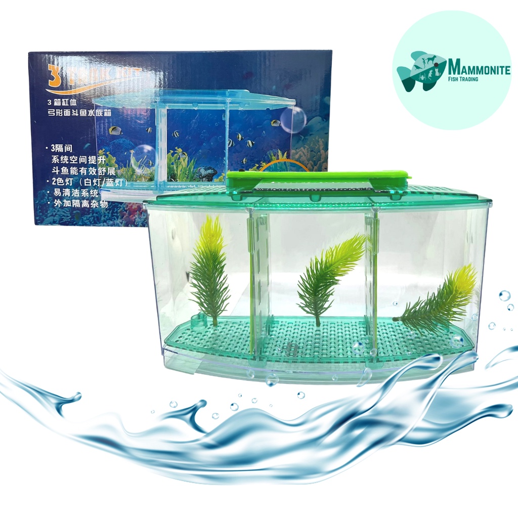Aquarium Tank Betta Trio Box 3 Compartments with LED Lights 29x15cm