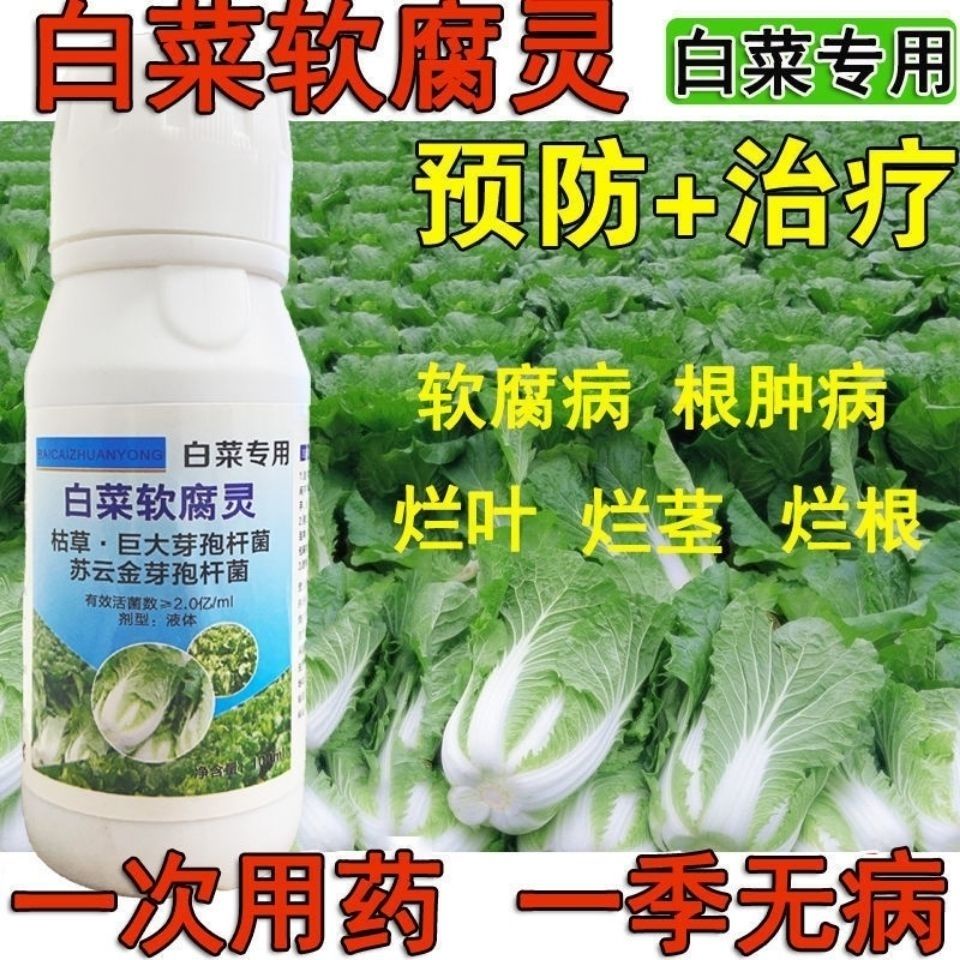 【Good】Cabbage special medicine cabbage soft rot fungicide downy mildew