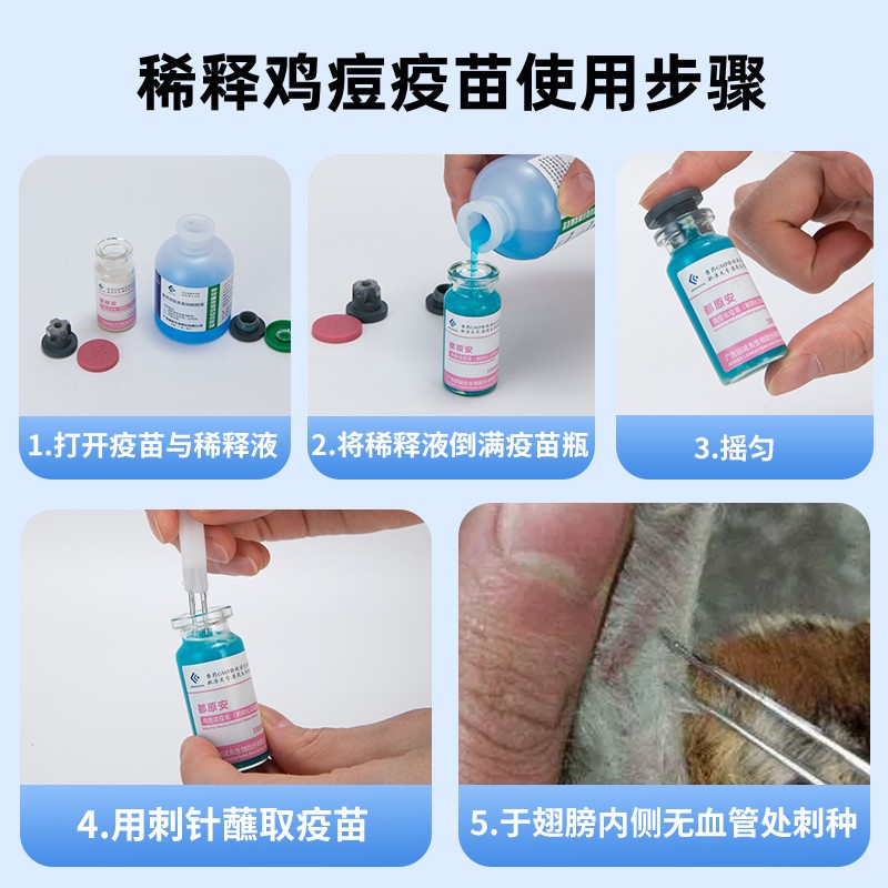 Chicken pigeon nasal drop special diluent / diluent chicken pox vaccine ...
