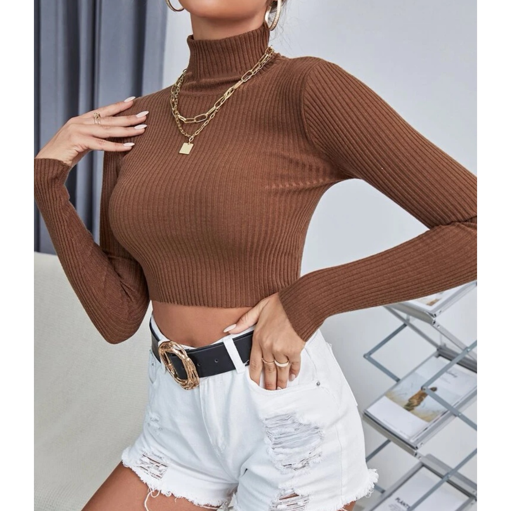 Long sleeve turtleneck hot sale crop top