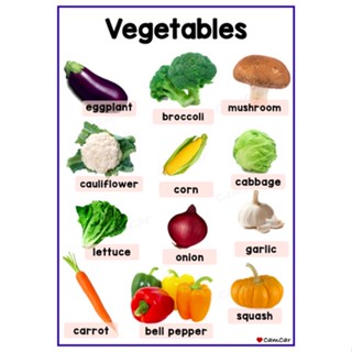 Fruits and Vegetables A4 Laminated Educational Wall Chart by CamCar ...