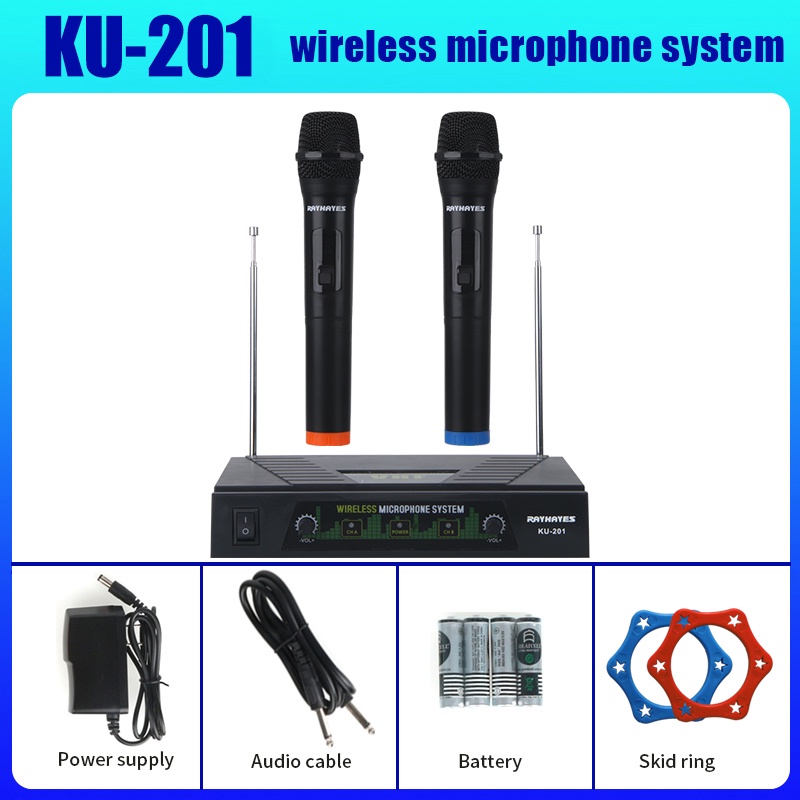 RAYHAYES Professional Wireless Microphone Original Dual Handheld System