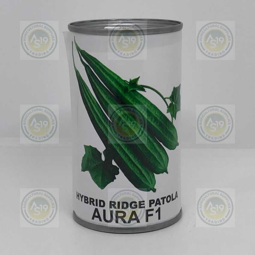 Hybrid Ridge Patola Aura F1 (can) Condor Quality Seeds Shopee