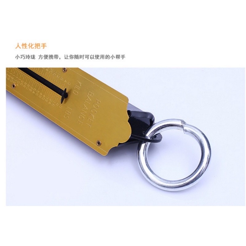 Portable spring scale | Shopee Philippines