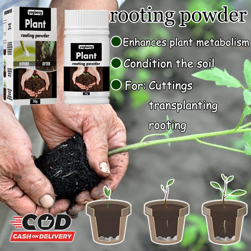 Yegbong rooting hormone powder fast hormone growth root seedling plant