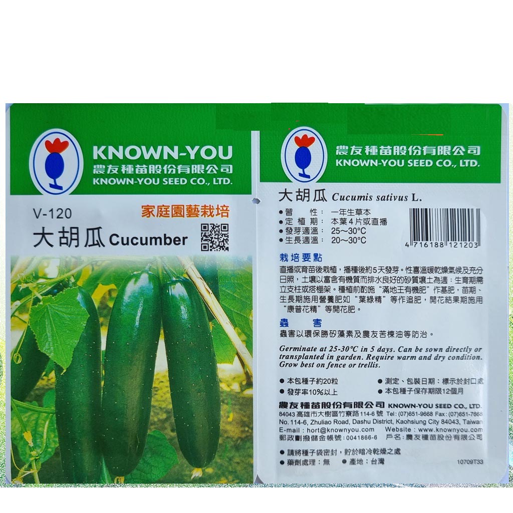 Known You Vegetable Seeds Cucumber Large V-120 S4 GDSFPH_S4 | Shopee ...