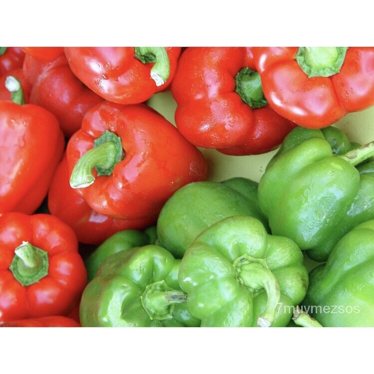 2022 giant sweet pepper seeds, 350 bell pepper seeds, imported 50