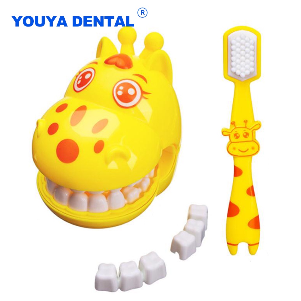 Giraffe Teeth Brush Teeth Teaching Model Kids Earlier Education Demo ...