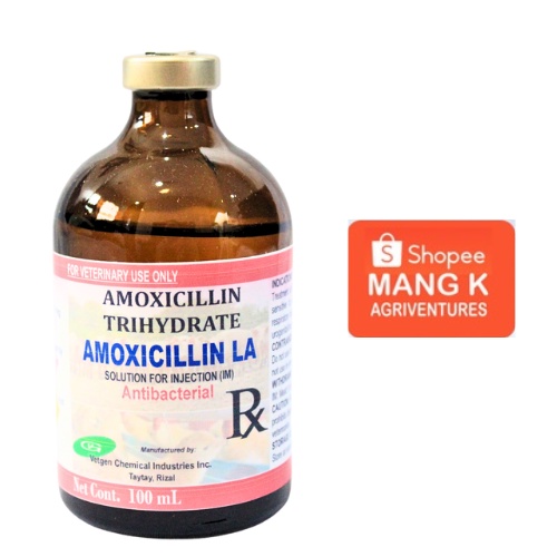 AMOXICILLIN LA Antibacterial Solution for Injection (IM) Shopee