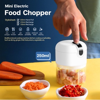 1pc Hand pullGarlic Mincer Mini Garlic Chopper Food Chopper Garlic Mincer, Vegetable  Chopper, Onion Chopper, Portable Small Food Processor for Garlic, Ginger,  Chili, Vegetables Professional Garlic Crusher