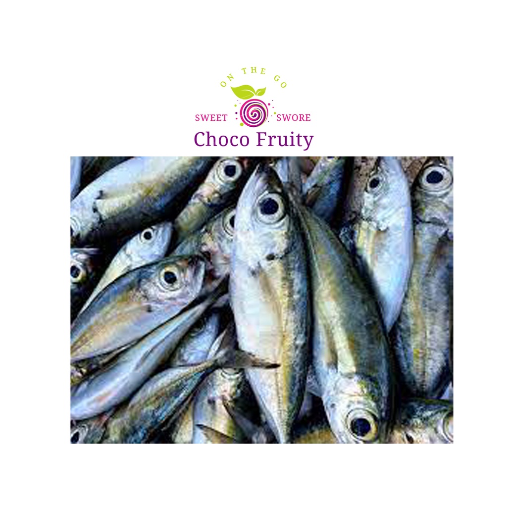 Fresh matambaka Fish - 500g | Shopee Philippines