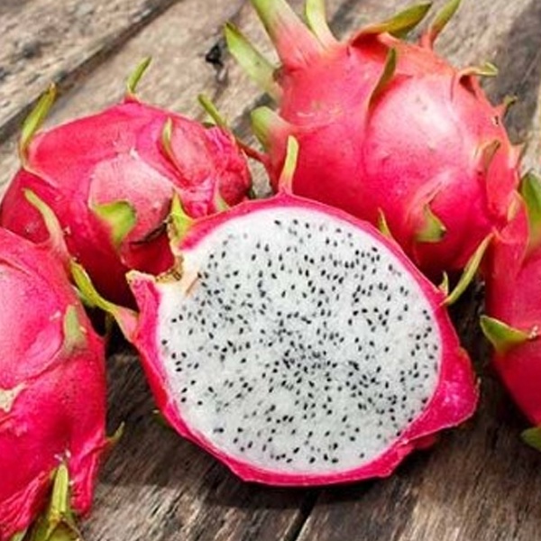 White Dragon Fruit Seeds White Pitahaya - Dragon Fruit Seeds | Shopee ...