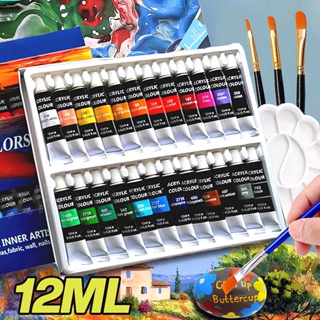 Acrylic paint Set 12 colors (100ml, 3.38 oz), Heavy Body Paint Supplies for  Canvas Painting Christmas Decorations, Non Toxic Paints for Kids Beginners
