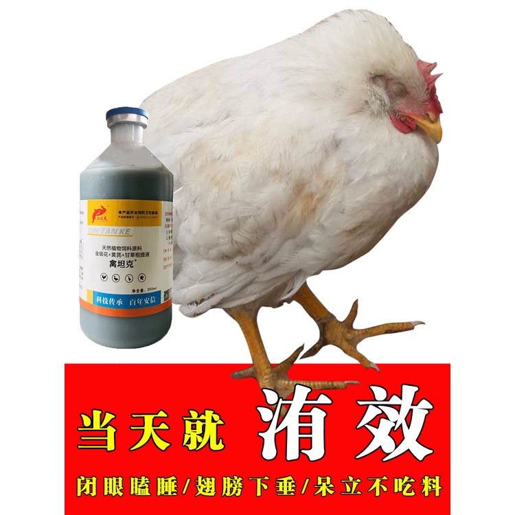 Poultry tank, chicken medicine, chicken special, diarrhea, cold, cough