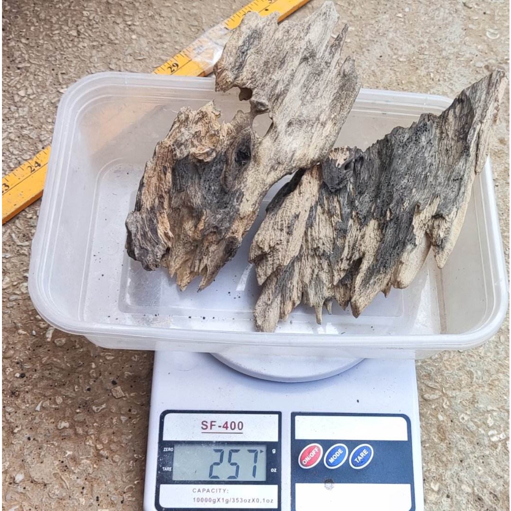 Driftwood Random 3 to 12 inches Shopee Philippines