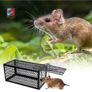Mouse Catch Strong Snap Traps Snare Catch Mice Rat Steels Permanent Use  Rodent