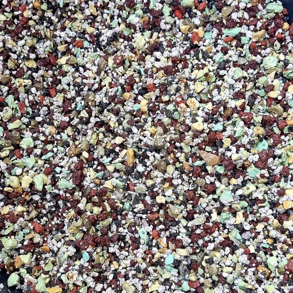 PREMIUM Pon Substrate/Soilless Mix FOR VARIEGATED PLANTS by Curated ...