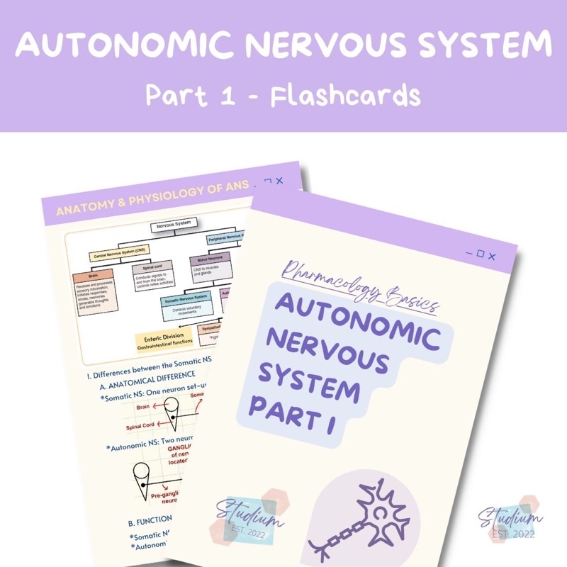 Pharmacology Flashcards - Autonomic Nervous System Part 1 | Shopee ...