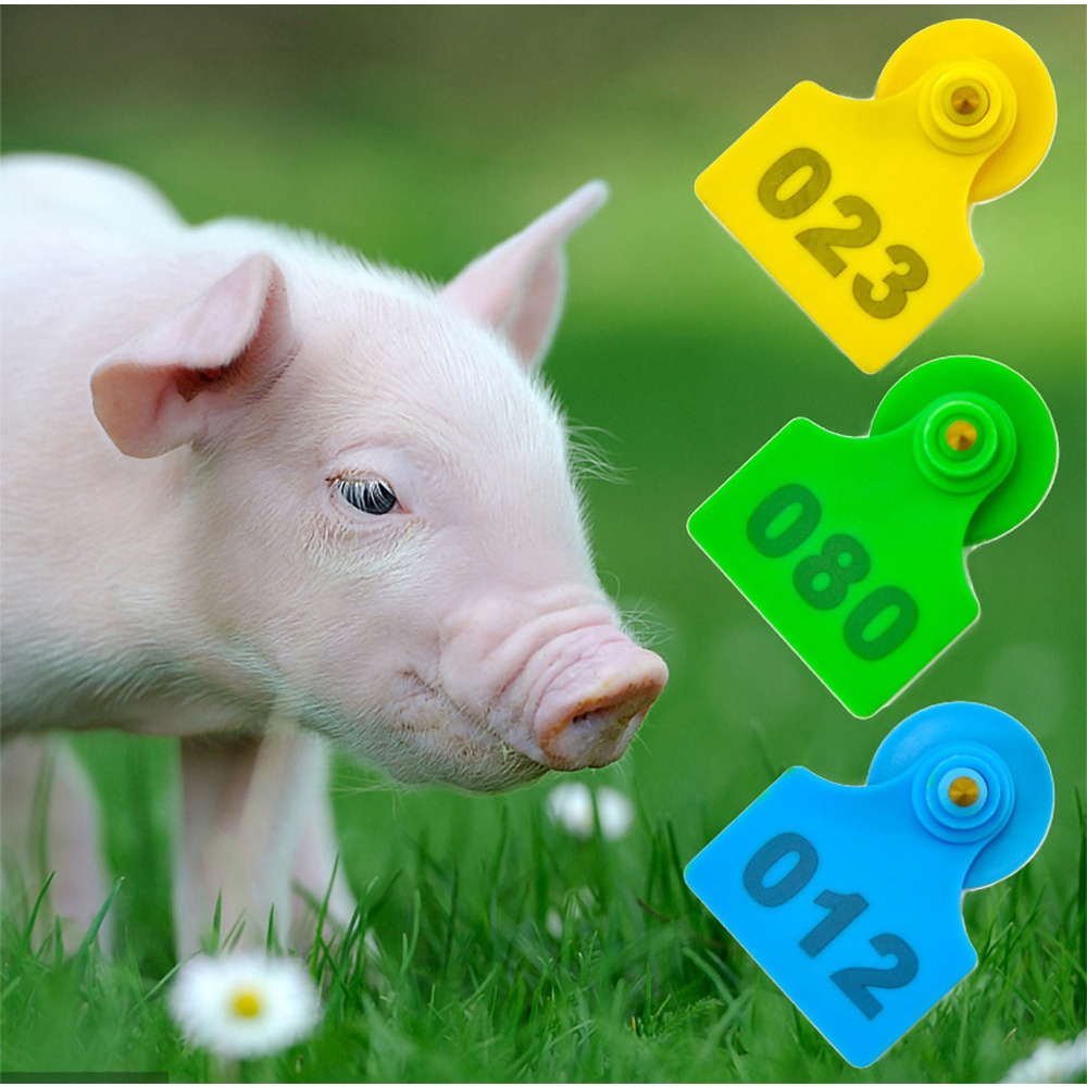 Pig Ear Tags Farm Animal Ear Tags Livestock Supplies Cow Cattle Goats ...