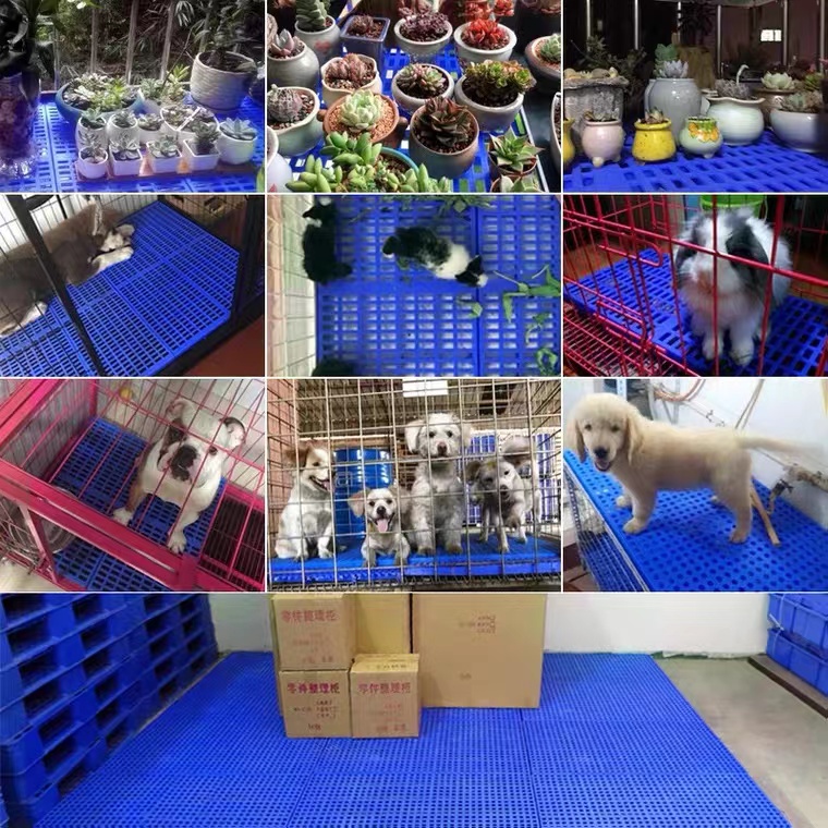 Petcher Heavy Duty Elevated Plastic Pet Matting for Dog 2ftx3ftx6inches Non Slip Plant Cage Flooring Shopee Philippines