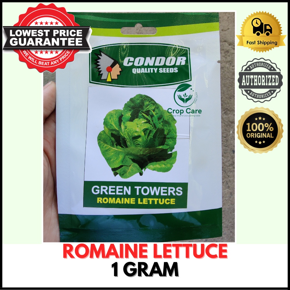 CONDOR SEEDS - ROMAINE LETTUCE SEEDS - GREEN TOWERS 1 Gram | Shopee ...