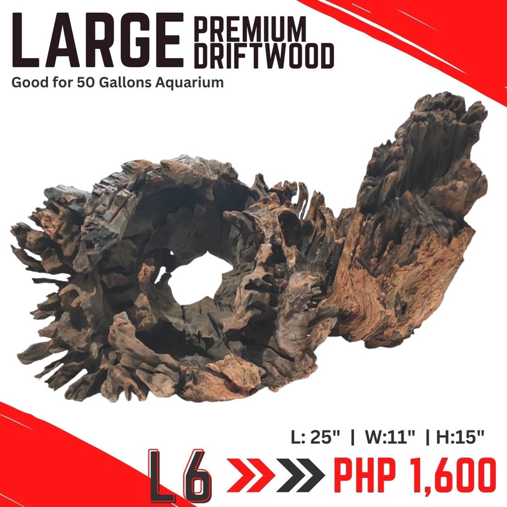 LARGE PREMIUM LOCAL DRIFTWOOD [Good for 50 gallons and up] Hardwood
