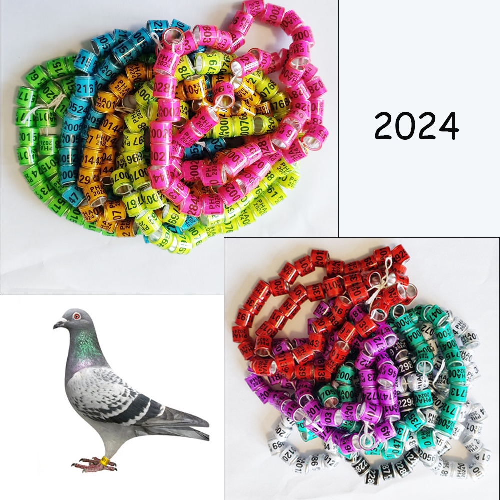 50Pcs PHA Pigeon Foot Rings 2024 8mm Pigeons Ring Serial Number 10