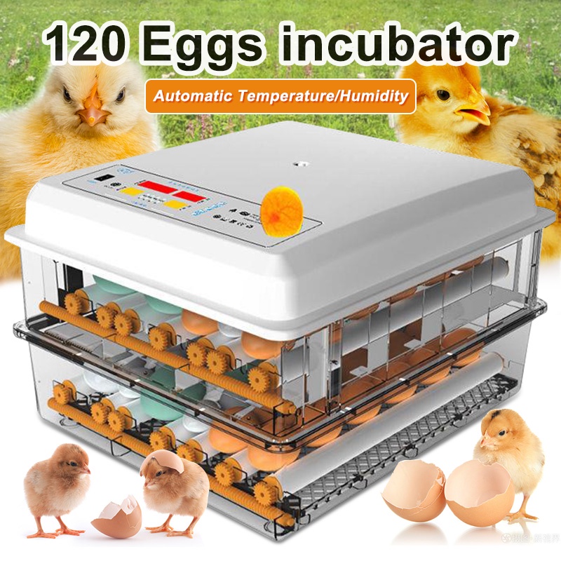 Incubator For Eggs Fully Automatic Egg Incubator For Chicken Duck Bird ...