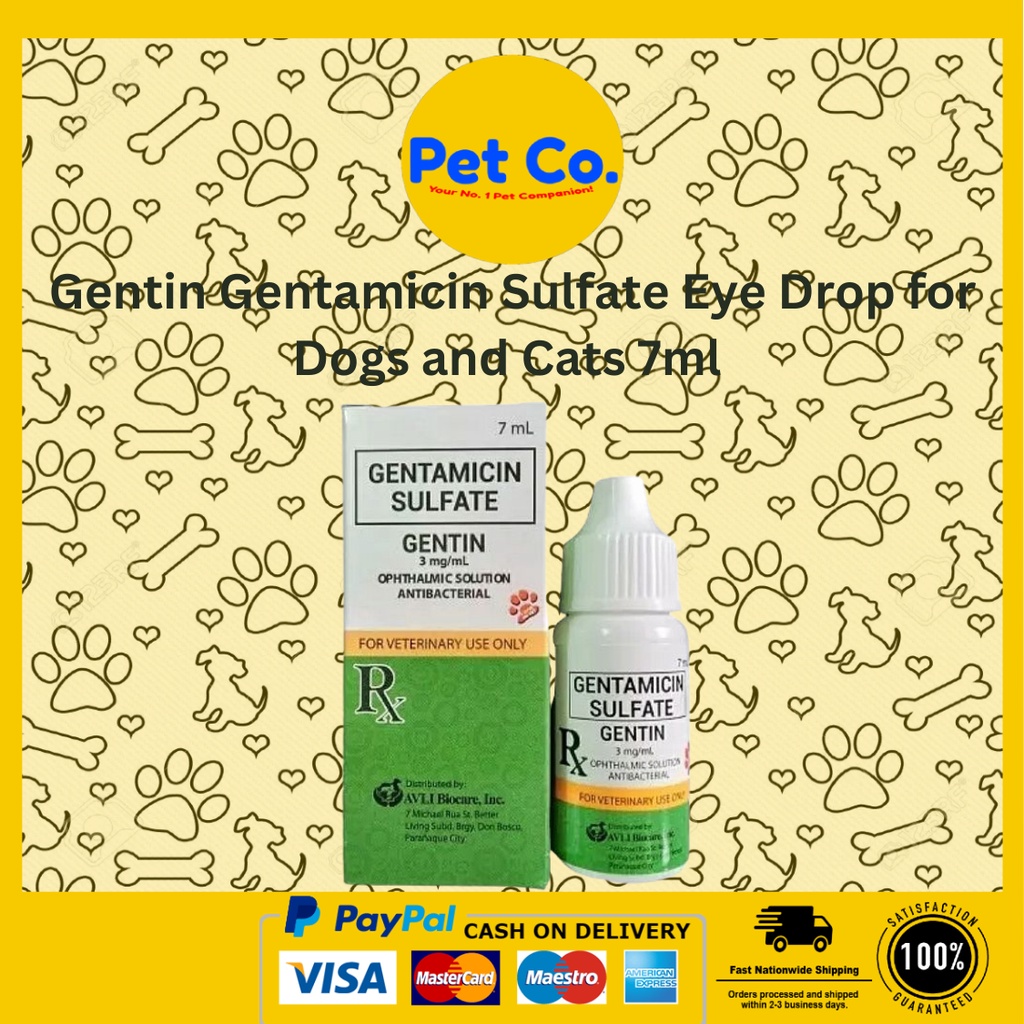 Gentin Gentamicin Sulfate Eye Drop for Dogs and Cats 7ml Shopee