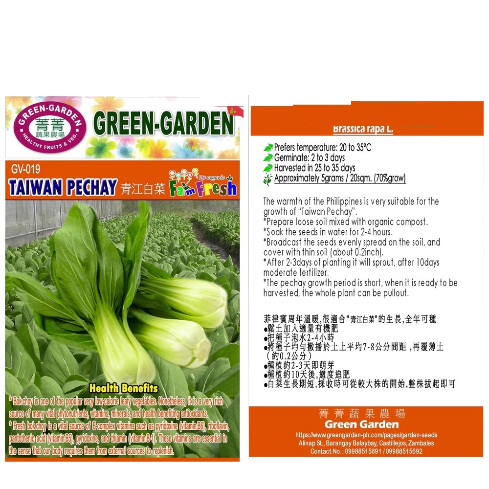 Green Garden Vegetable Seeds Taiwan Pechay (Pakchoi) GV-019 KECORP_S1 ...